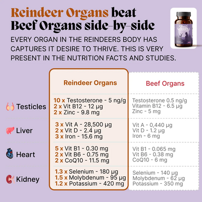 Arctic Organ & Herb Superfood for Mature Women