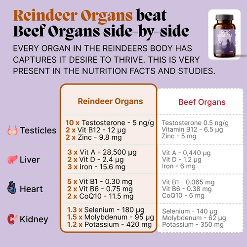 Arctic Organ & Herb Superfood for Mature Women