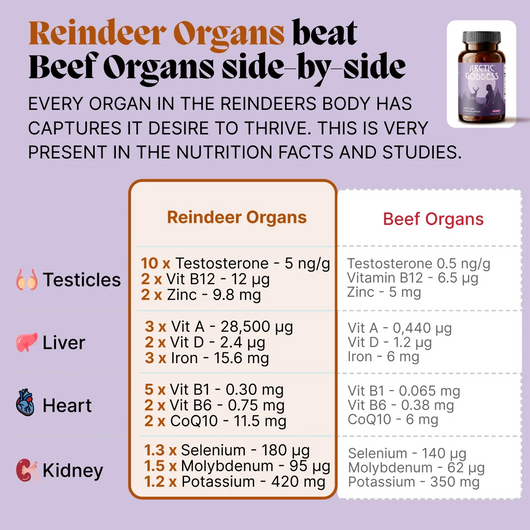 Arctic Organ & Herb Superfood for Mature Women