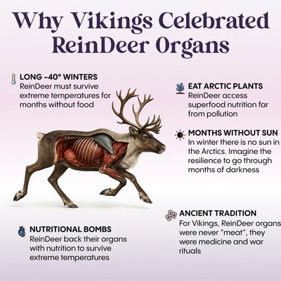Arctic Organ & Herb Superfood for Mature Women